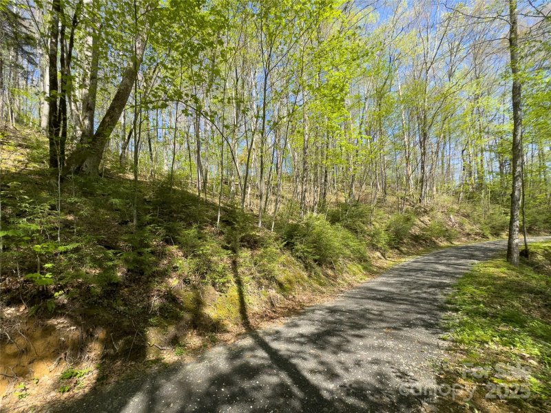 Property image 4 of Lot 64 Big Springs Trail in Black Rock Creek, Qualla, NC 28719