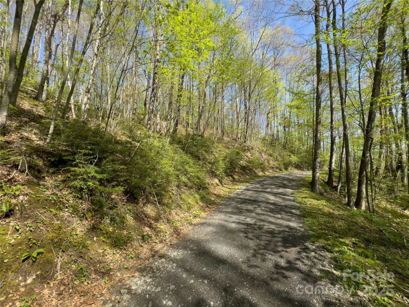 Property image 4 of Lot 64 65 Big Springs Trail in Black Rock Creek, Qualla, NC 28719