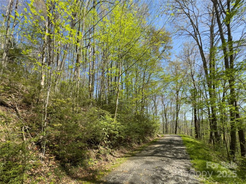 Property image 5 of Lot 64 65 Big Springs Trail in Black Rock Creek, Qualla, NC 28719