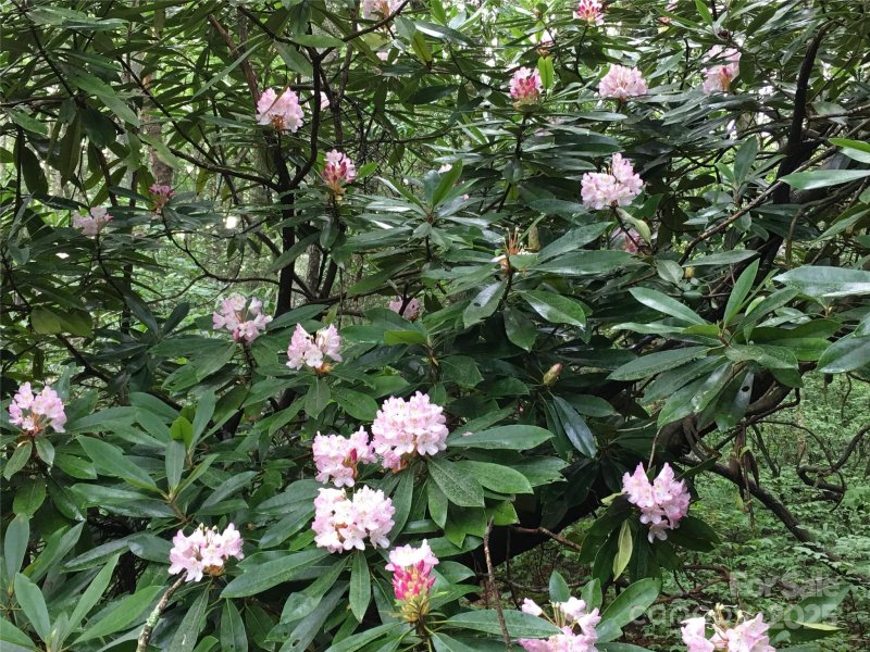 Property image 2 at 999 Lakewood Drive, Cedar Mountain, NC 28718