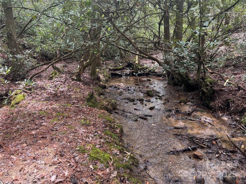 Property image 3 at 999 Lakewood Drive, Cedar Mountain, NC 28718