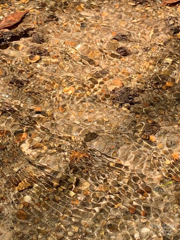 Property image 4 at 999 Lakewood Drive, Cedar Mountain, NC 28718