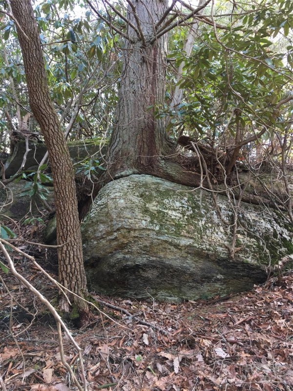 Property image 5 at 999 Lakewood Drive, Cedar Mountain, NC 28718