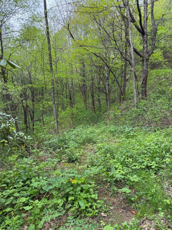 Property image 4 at 31 Sallywood Trail, Waynesville, NC 28785