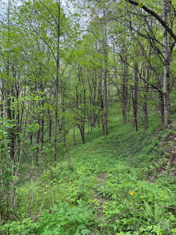 Property image 5 at 31 Sallywood Trail, Waynesville, NC 28785