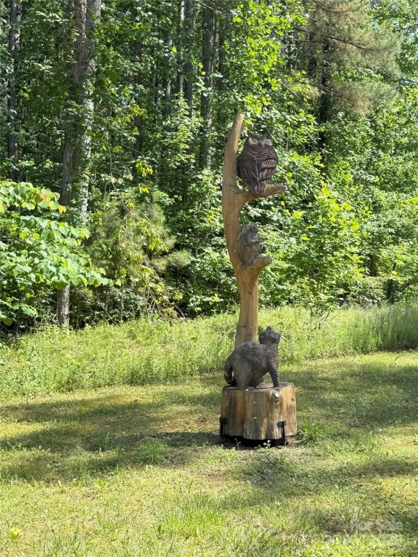 Property image 2 of 146 S Branch Drive in Fork Mountain, Bostic, NC 28018