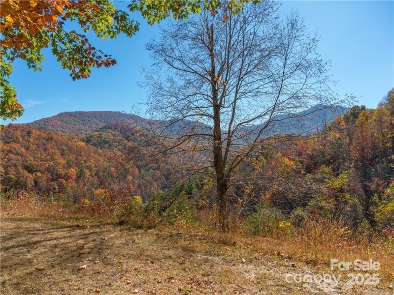 Property image 3 of 99999 Turkey Creek Road in Wild Turkey Cove, Leicester, NC 28748