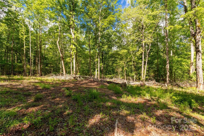 Property image 3 of 5212 Star Magnolia Court in Magnolia, Clover, SC 29710