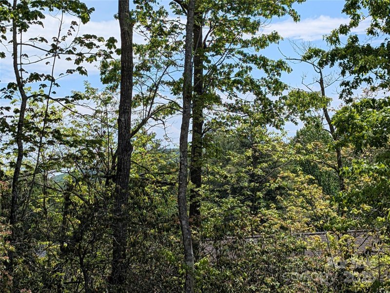 Property image 3 of 00 Winterberry Drive in Wilson Farm, Hendersonville, NC 28739