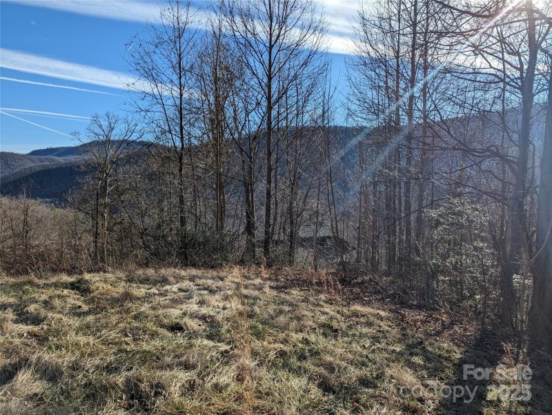 Property image 2 of 117 Ironwood Lane in Creston, Black Mountain, NC 28711