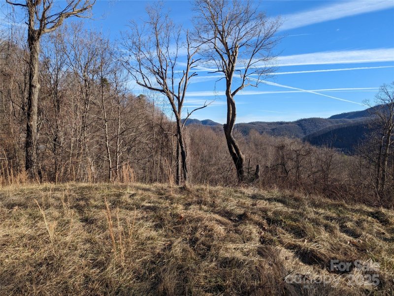 Property image 5 of 117 Ironwood Lane in Creston, Black Mountain, NC 28711