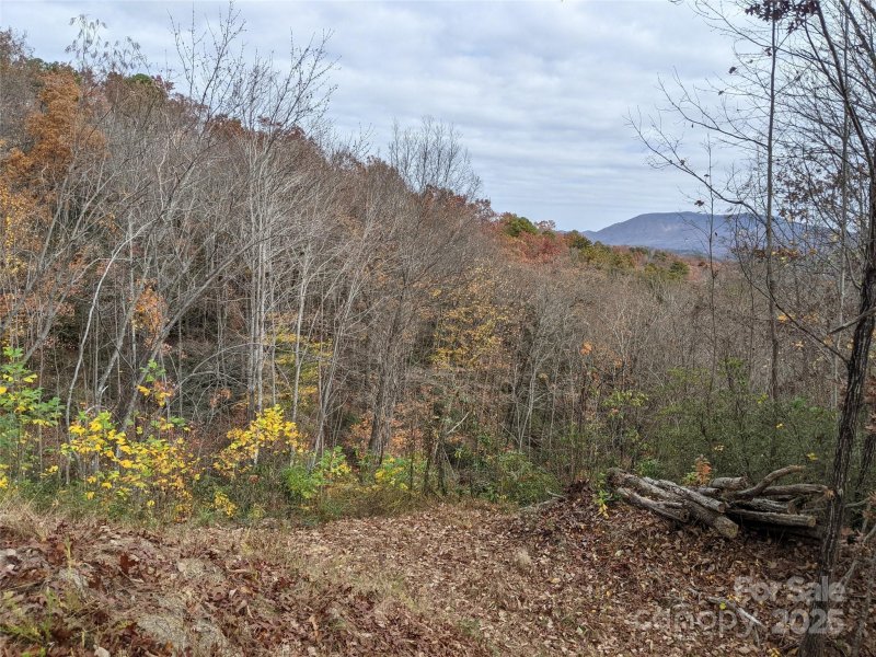 Property image 2 of 171 Nuthatch Lane in Creston, Black Mountain, NC 28711
