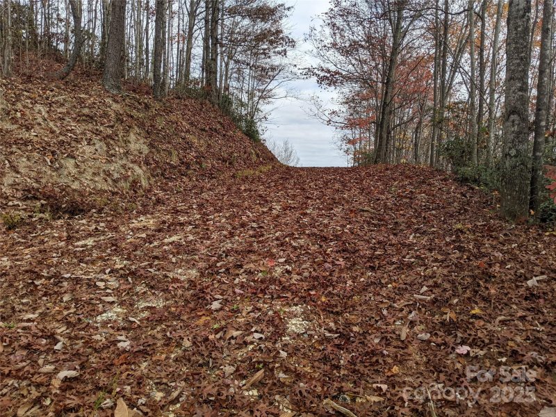 Property image 4 of 171 Nuthatch Lane in Creston, Black Mountain, NC 28711
