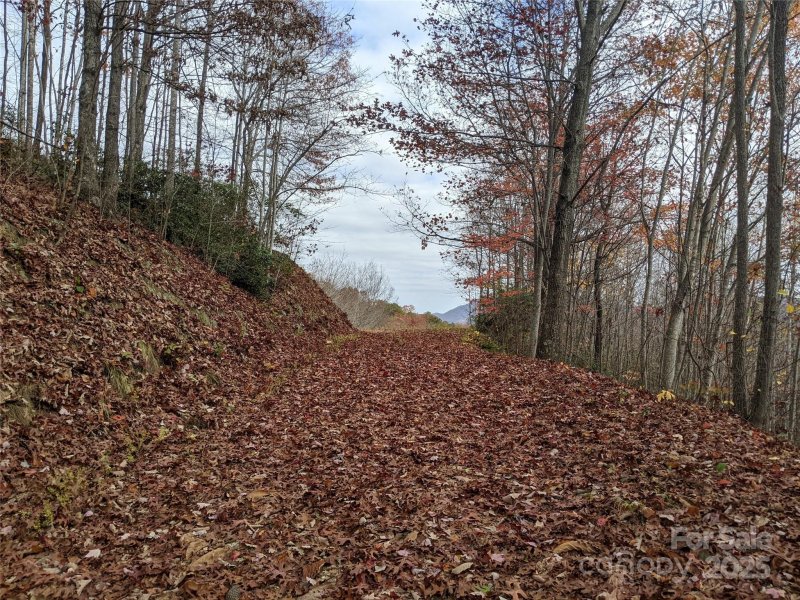 Property image 5 of 171 Nuthatch Lane in Creston, Black Mountain, NC 28711