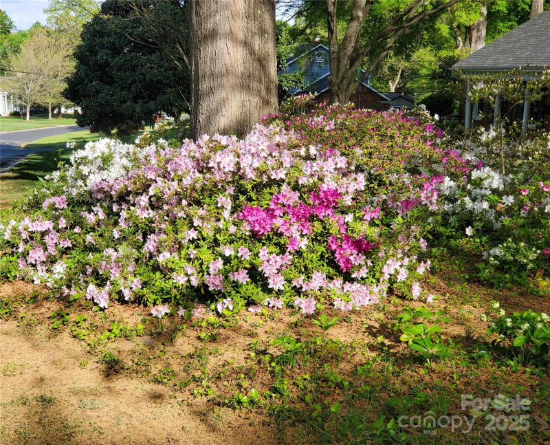 Property image 5 at 4315 Chandworth Road, Charlotte, NC 28210