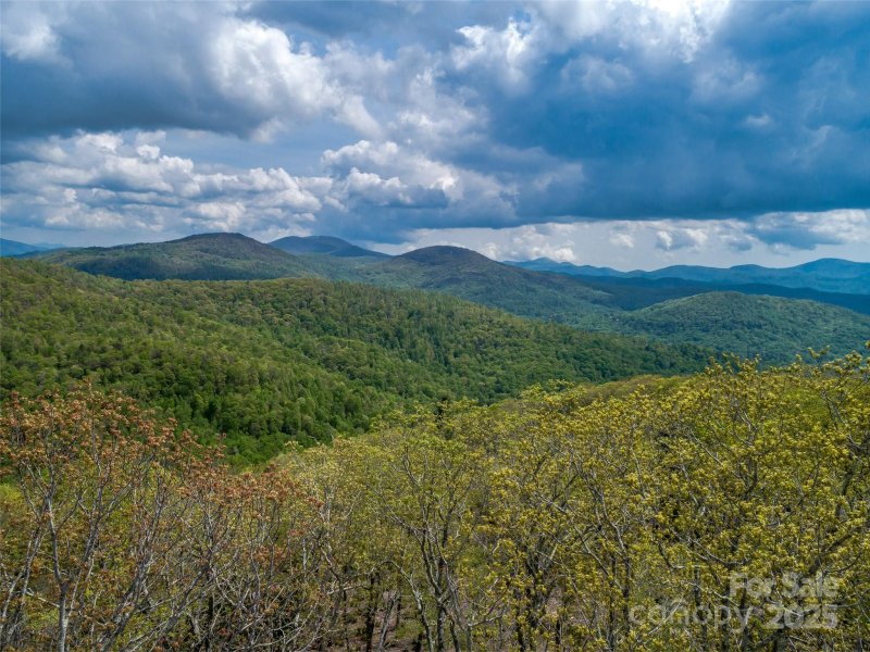 Property image 3 of 0000 E Garden Trail in Sprout, Hendersonville, NC 28792