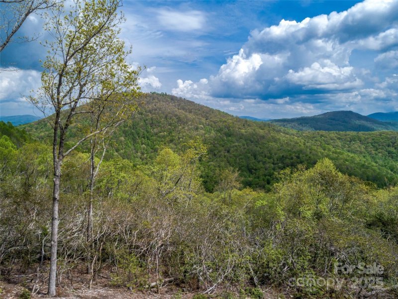 Property image 5 of 0000 E Garden Trail in Sprout, Hendersonville, NC 28792