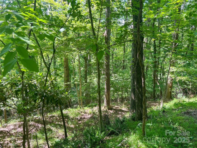 Property image 2 of 101 Chattooga Run in Champion Hills, Hendersonville, NC 28739