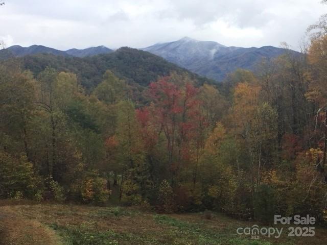 Property image 2 at 000 English Setter Trail, Whittier, NC 28789