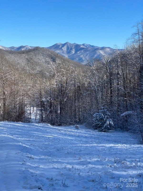 Property image 3 at 000 English Setter Trail, Whittier, NC 28789