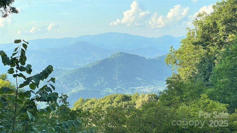 Property image 4 of 61 Ivy Ridge Road in Mountain Air, Burnsville, NC 28714