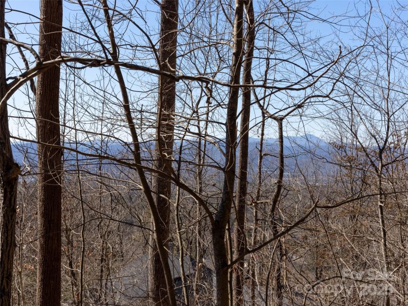 Property image 2 of 19 Giffords Lane in Pinchot Forest, Asheville, NC 28803