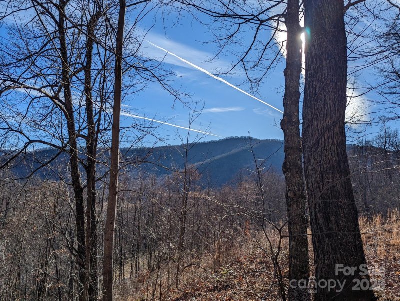 Property image 2 of 351 Kestrel Lane in Creston, Black Mountain, NC 28711