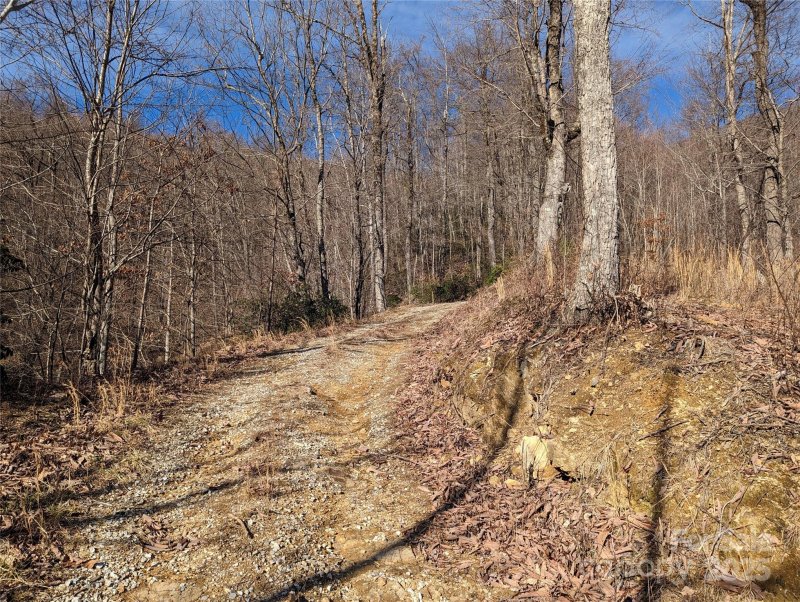 Property image 5 of 351 Kestrel Lane in Creston, Black Mountain, NC 28711