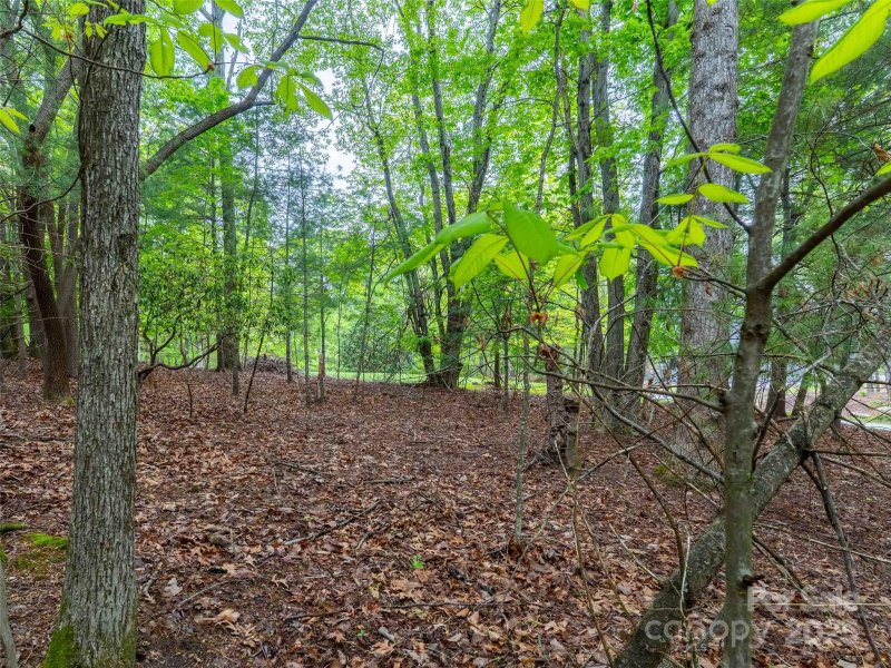 Property image 5 at 102 Little Cherokee Ridge, Hendersonville, NC 28739