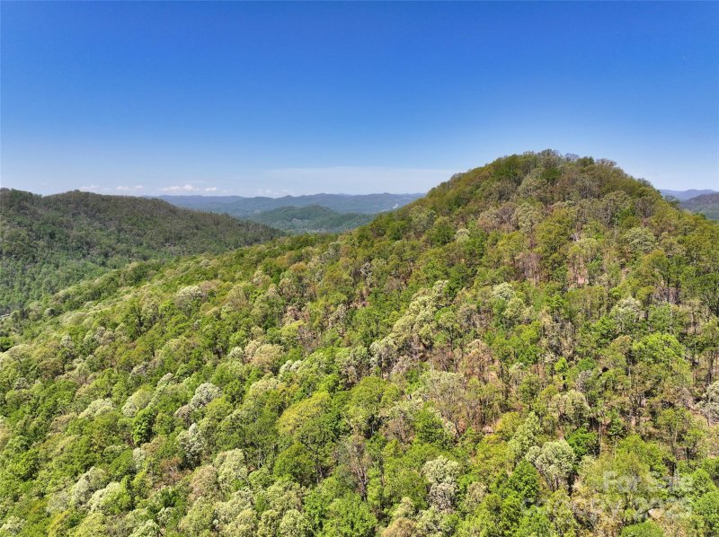 Property image 2 of 99999 Anderson Cove Road in Wildcat Knob, Barnardsville, NC 28709