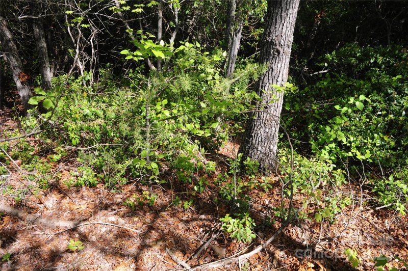 Property image 3 of 99999 Mountain Falls Trail in Catawba Falls Preserve, Black Mountain, NC 28711