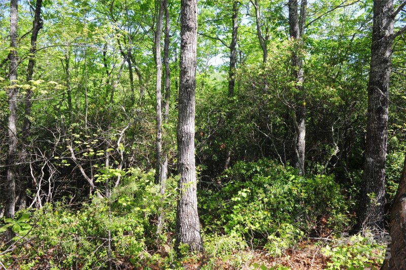 Property image 4 of 99999 Mountain Falls Trail in Catawba Falls Preserve, Black Mountain, NC 28711