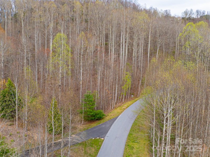 Property image 4 at 770 Somersby Parkway, Hendersonville, NC 28739