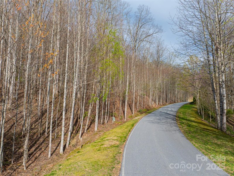 Property image 5 at 770 Somersby Parkway, Hendersonville, NC 28739