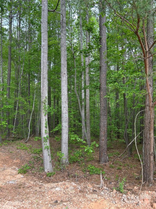 Property image 2 of 7300 Bay Cove Court in Pebble Bay, Denver, NC 28037