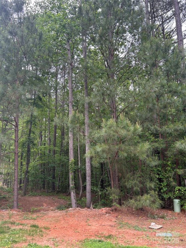 Property image 3 of 7300 Bay Cove Court in Pebble Bay, Denver, NC 28037