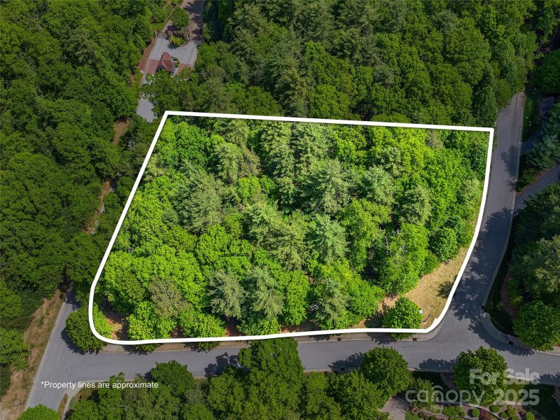 404 Coopers Hawk Drive