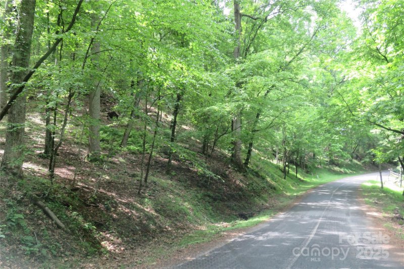 Property image 4 at Tbd Poplar Drive, Mills River, NC 28759
