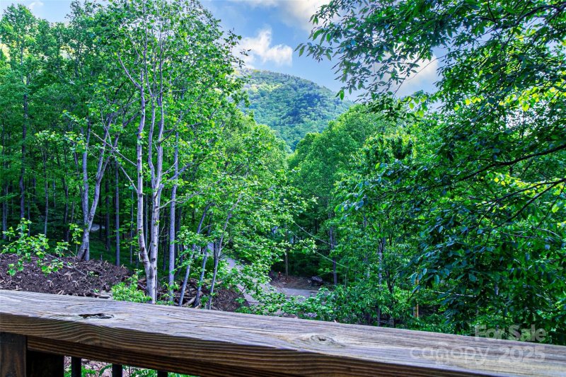 Property image 2 of 58 Great Aspen Way in Laurel Ridge, Black Mountain, NC 28711