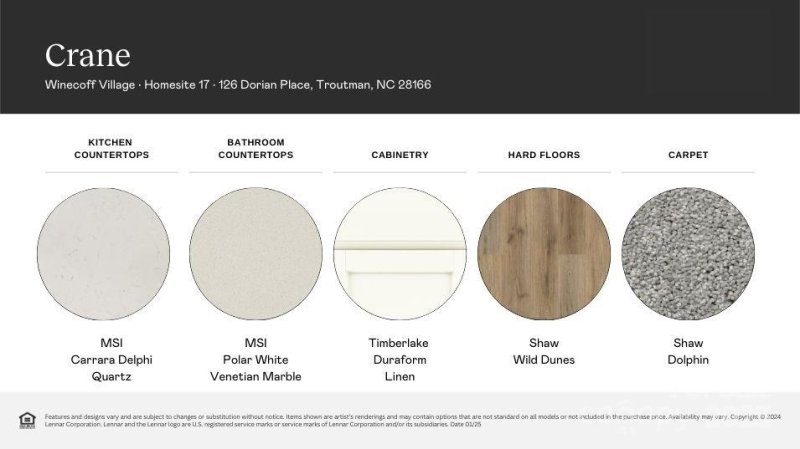 Property image 3 at 126 Dorian Place, Troutman, NC 28166