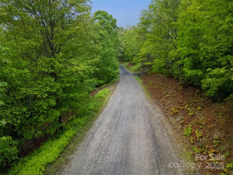 Property image 2 at Lot 45 Big Branch Road, Brevard, NC 28712