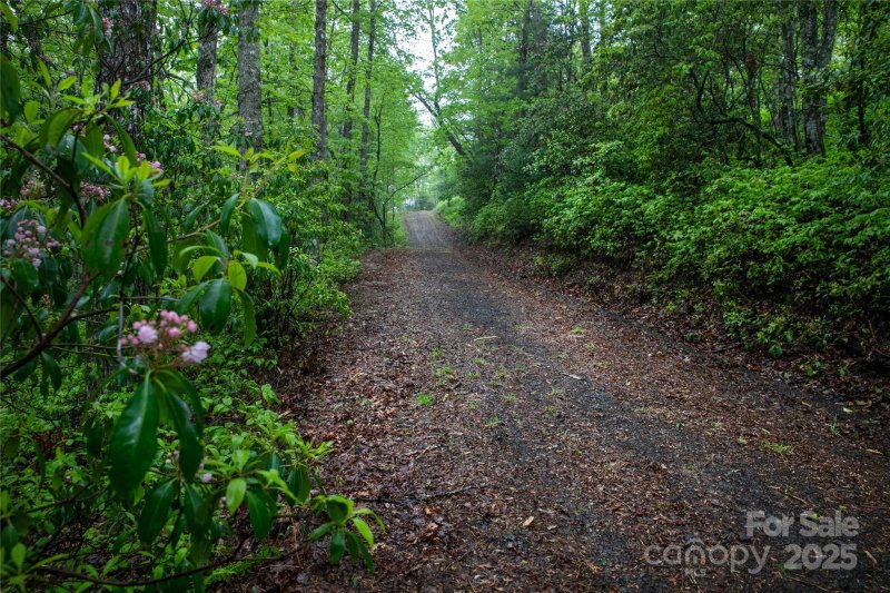 Property image 3 at Lot 45 Big Branch Road, Brevard, NC 28712