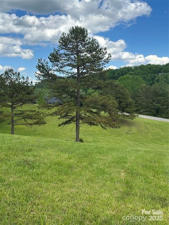 Property image 2 at 91 Meadows Station Drive, Nebo, NC 28761