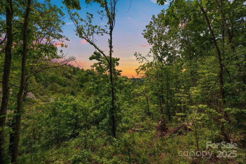 Property image 3 of 46 Hawtree Court in Reems Creek Golf Community, Weaverville, NC 28787