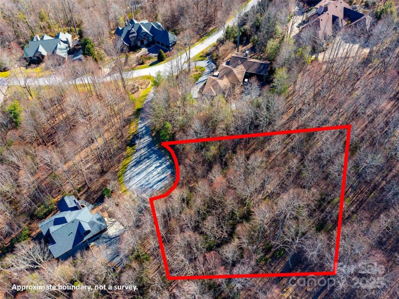 000 Hardwood Summit None