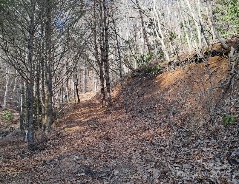 Property image 5 of 9999 Off Hurricane Ridge Trace in Hurricane Ridge Ltd, Clyde, NC 28721