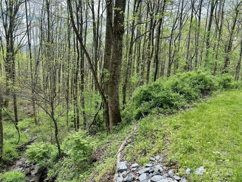 Property image 2 of 1 Deer Creek Trail in Scarlet Oaks, Maggie Valley, NC 28751