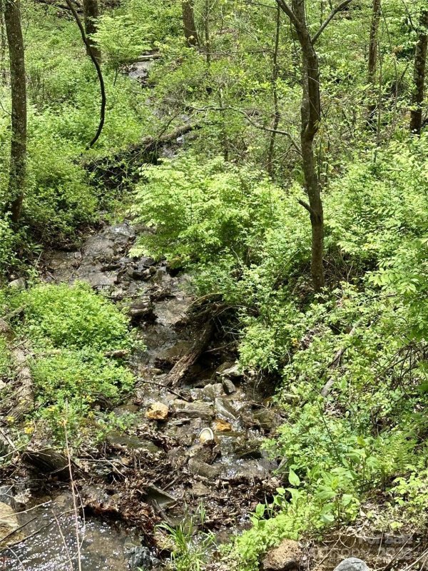 Property image 3 of 1 Deer Creek Trail in Scarlet Oaks, Maggie Valley, NC 28751