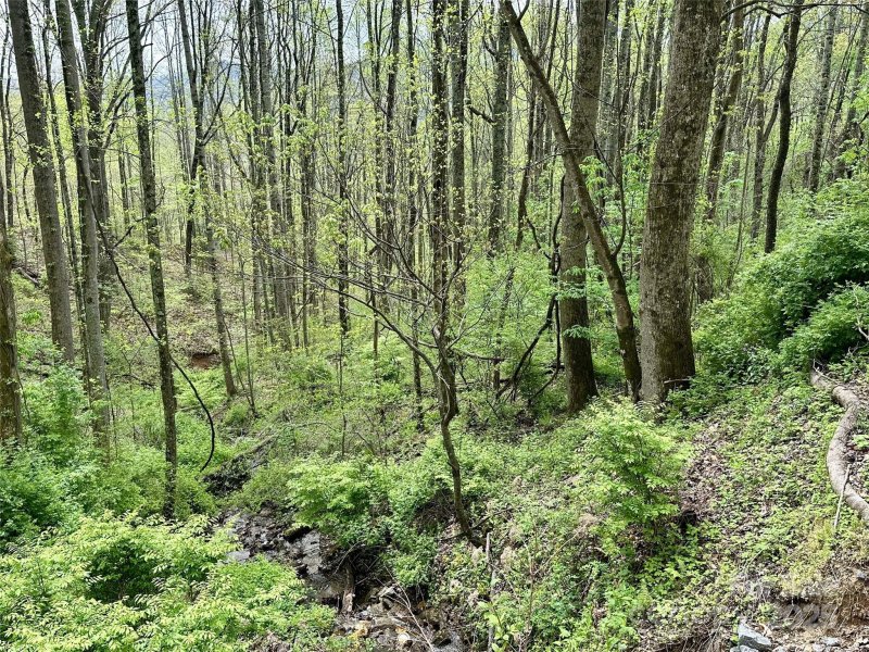 Property image 4 of 1 Deer Creek Trail in Scarlet Oaks, Maggie Valley, NC 28751