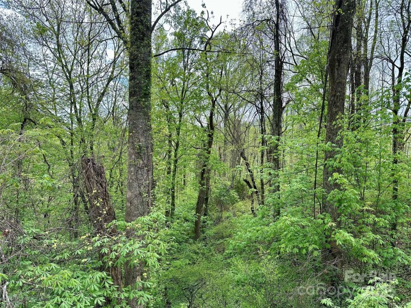 Property image 5 of 1 Deer Creek Trail in Scarlet Oaks, Maggie Valley, NC 28751